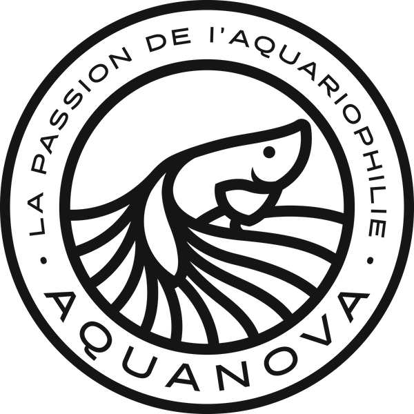 Boutique AquaNova