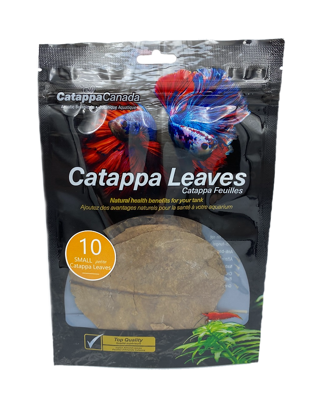 10 small Catappa Leaves
