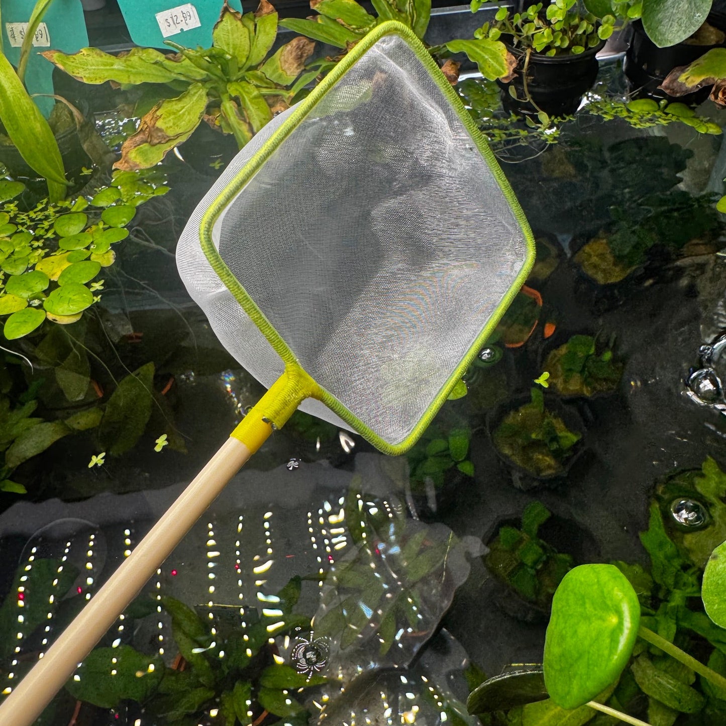 ChopStick Net Square 7cm - plastic