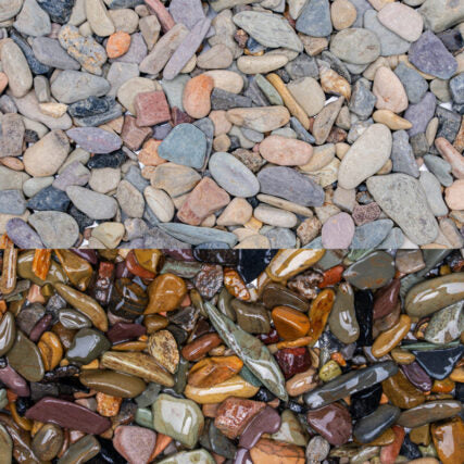 Controsand - Mixed Sequoia