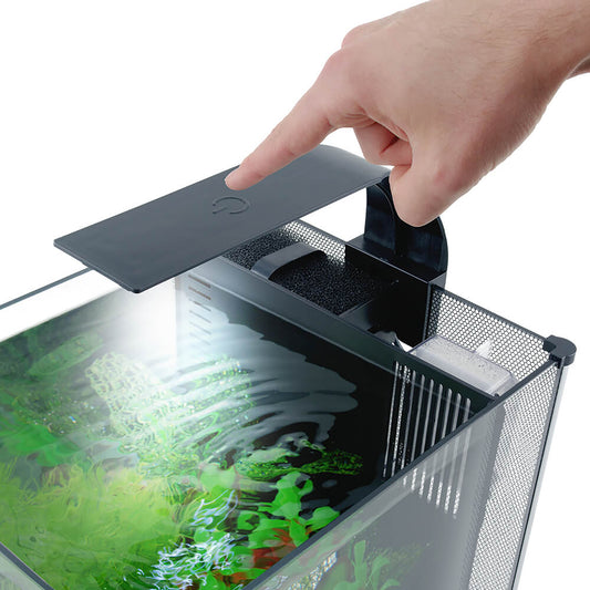 Fluval Betta Premium Aquarium Kit, 22.7 L (6 US Gal)