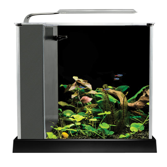 Fluval Spec Aquarium Kit - Black - 10 L (2.6 US gal)