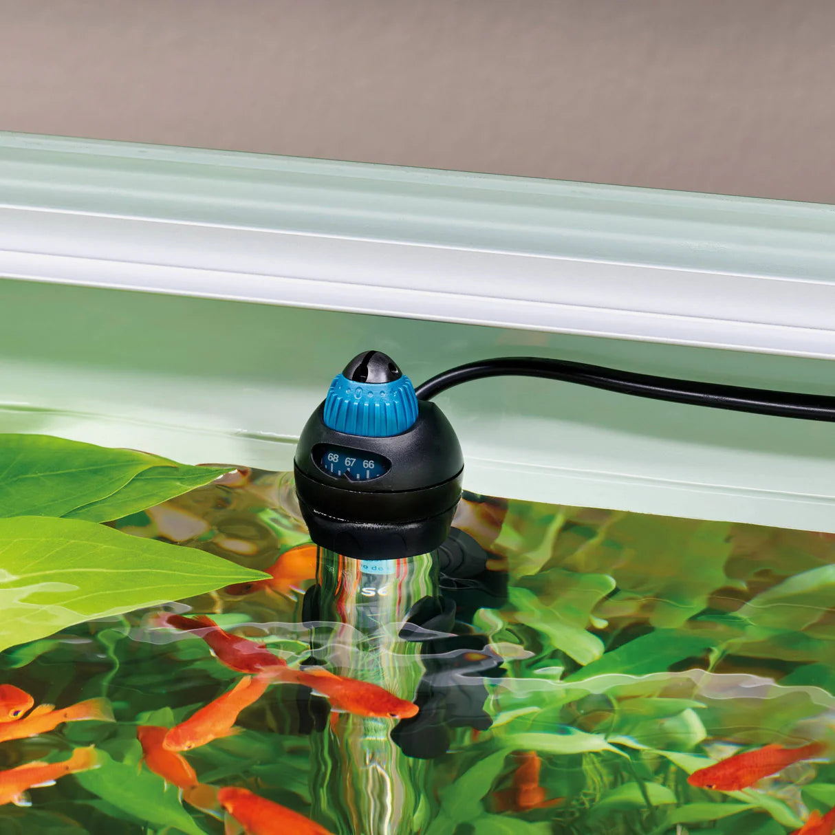 Oase Oase Aquarium Heater HeatUp 50 watt