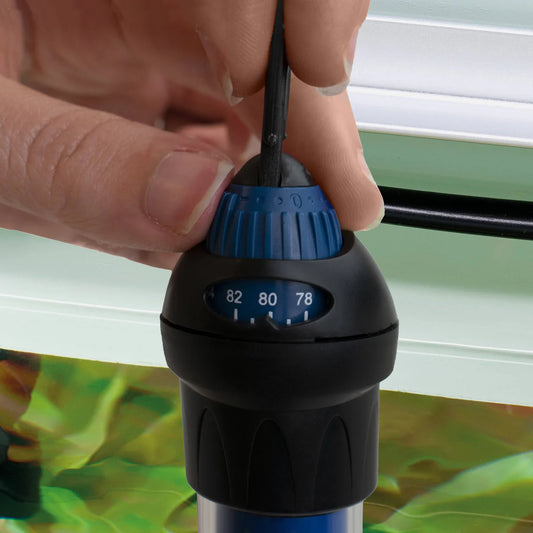 Chauffe-eau d'aquarium Oase HeatUp