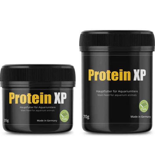 Protein XP
