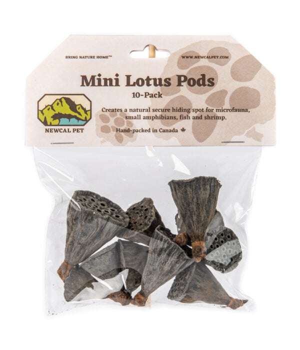 Mini Lotus Pods