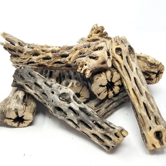Cholla Wood