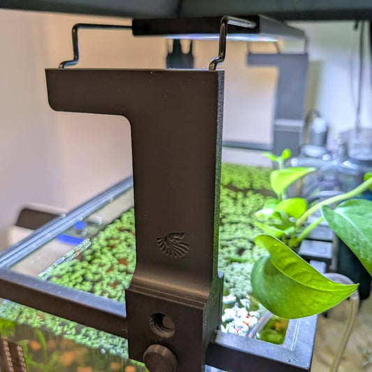 Rehausseur de lumière