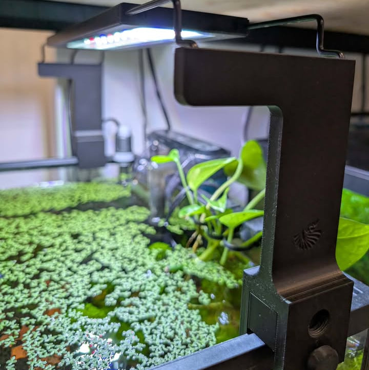 Rehausseur de lumière