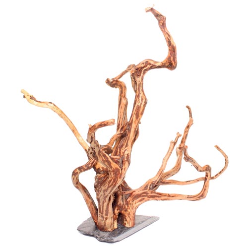 Aquarium Spider Wood - Small