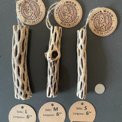 Cholla Wood - 6''