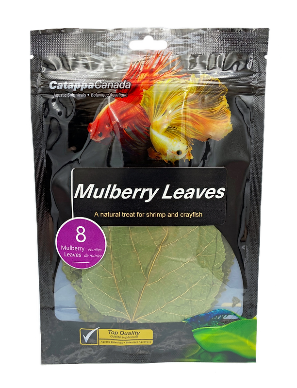 Mulberry Leaves
