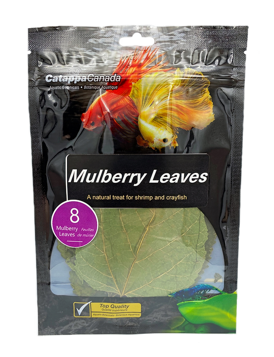 Mulberry Leaves