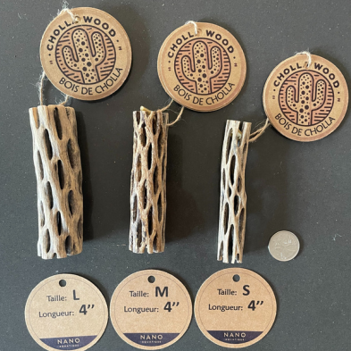 Cholla Wood - 4''