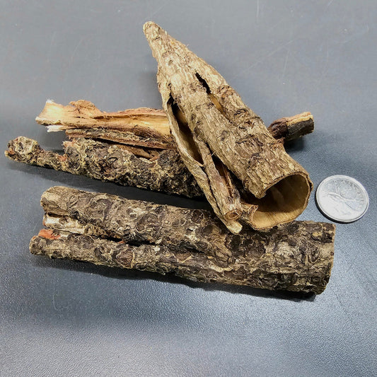 Catappa Round Bark