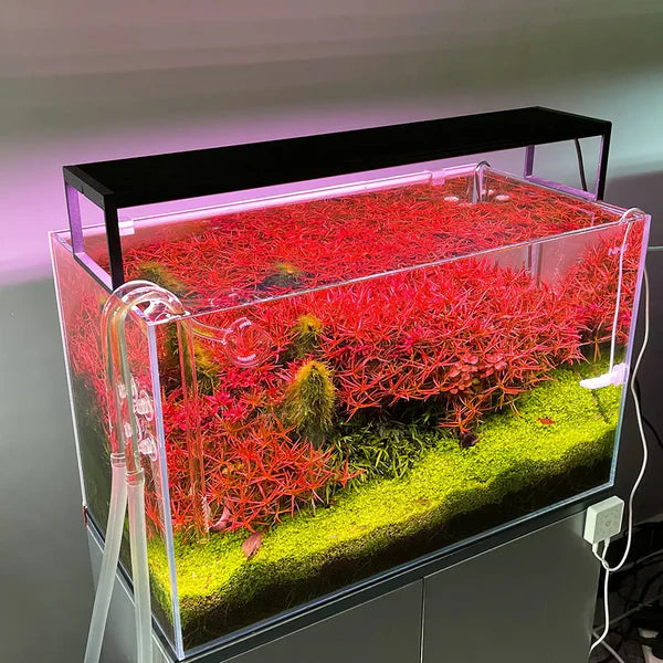 Chihiros WRGB II Slim Series