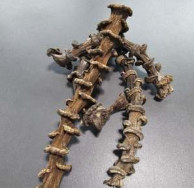 Dried Banana Stems