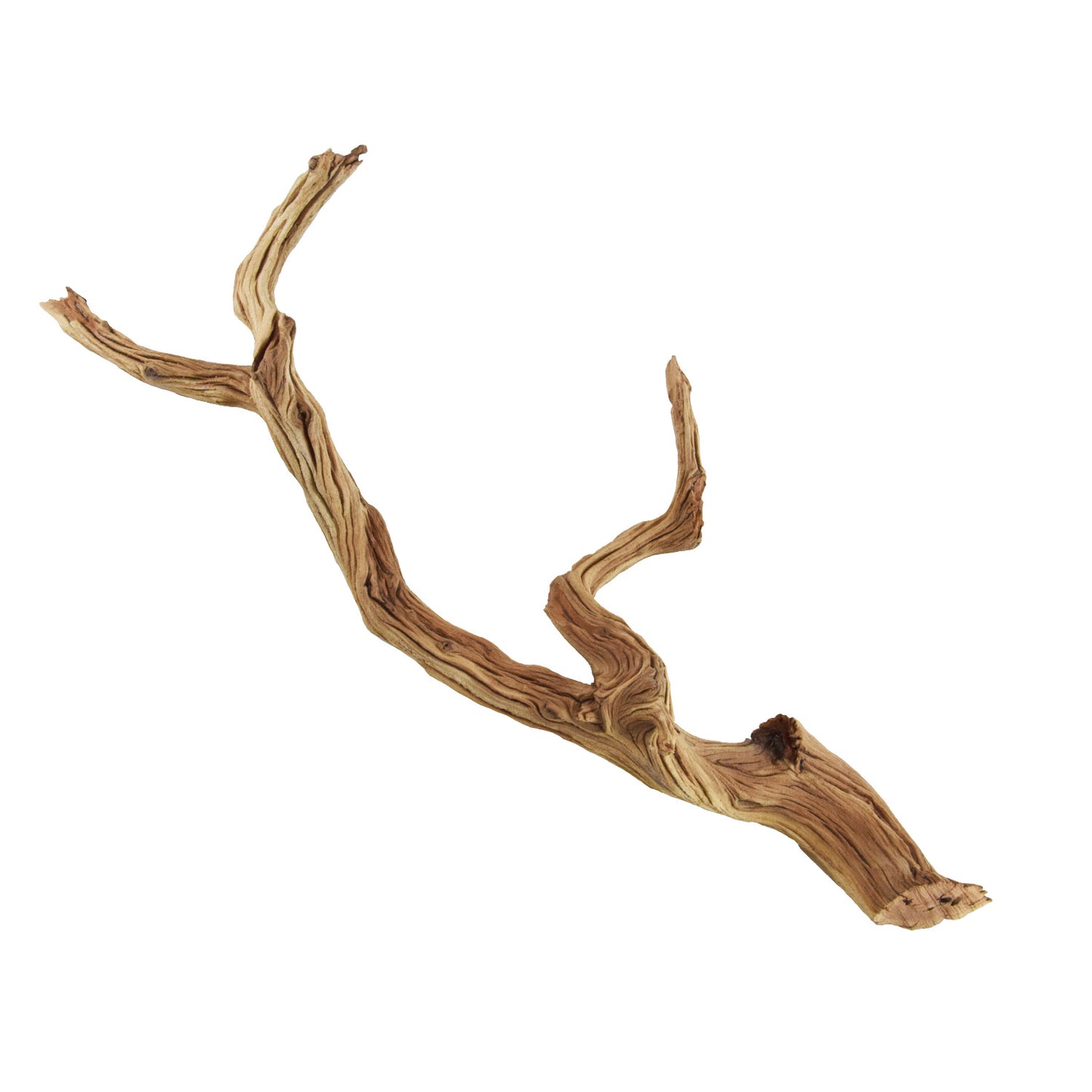 Ghostwood - Medium - 14-16"