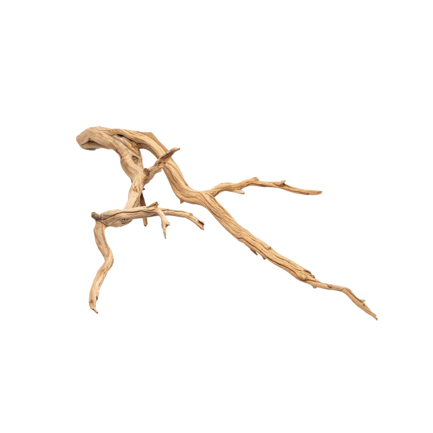 Ghostwood - Small - 8-10"