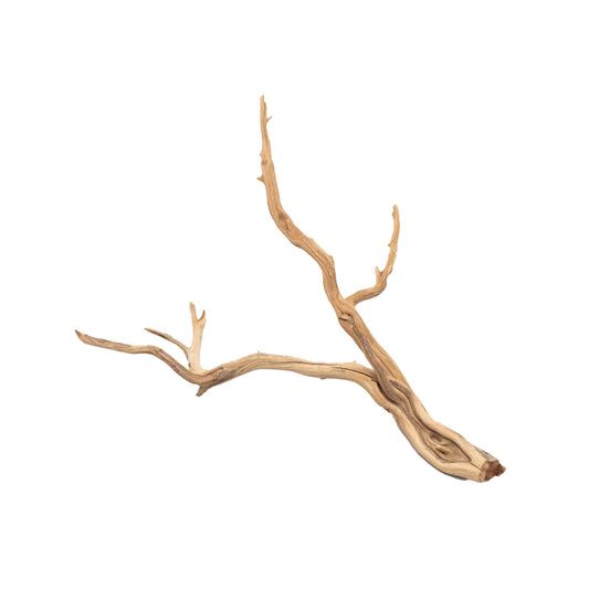 Ghostwood - X-Small