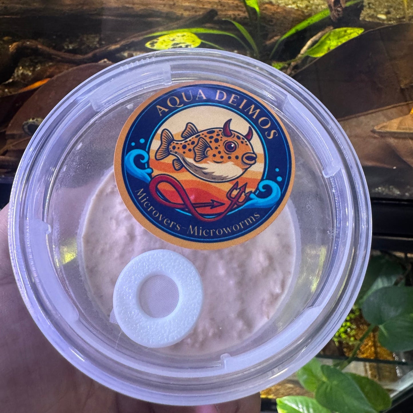 Microworms AQUA DEIMOS