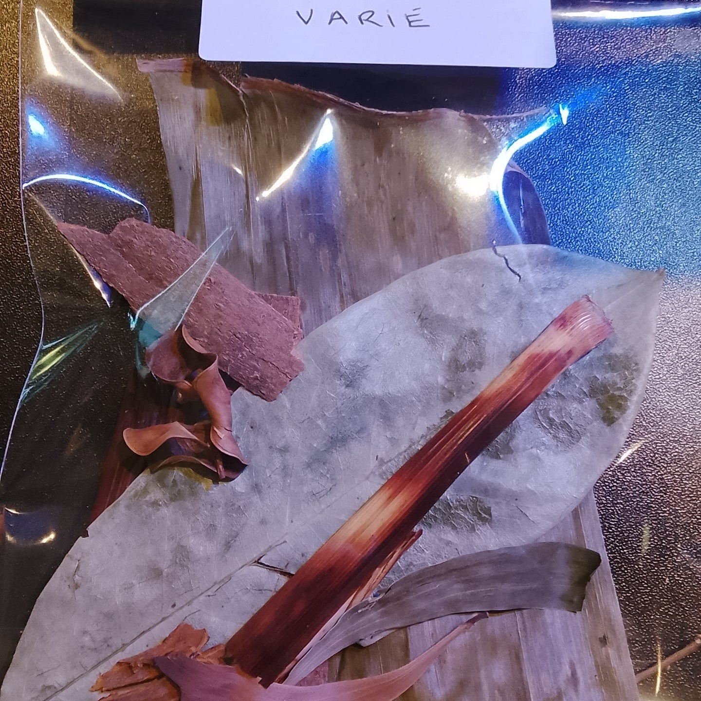 Feuilles mélangées varié