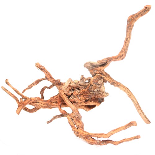 Spider Wood Natural