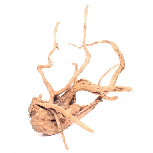Spider Wood Natural