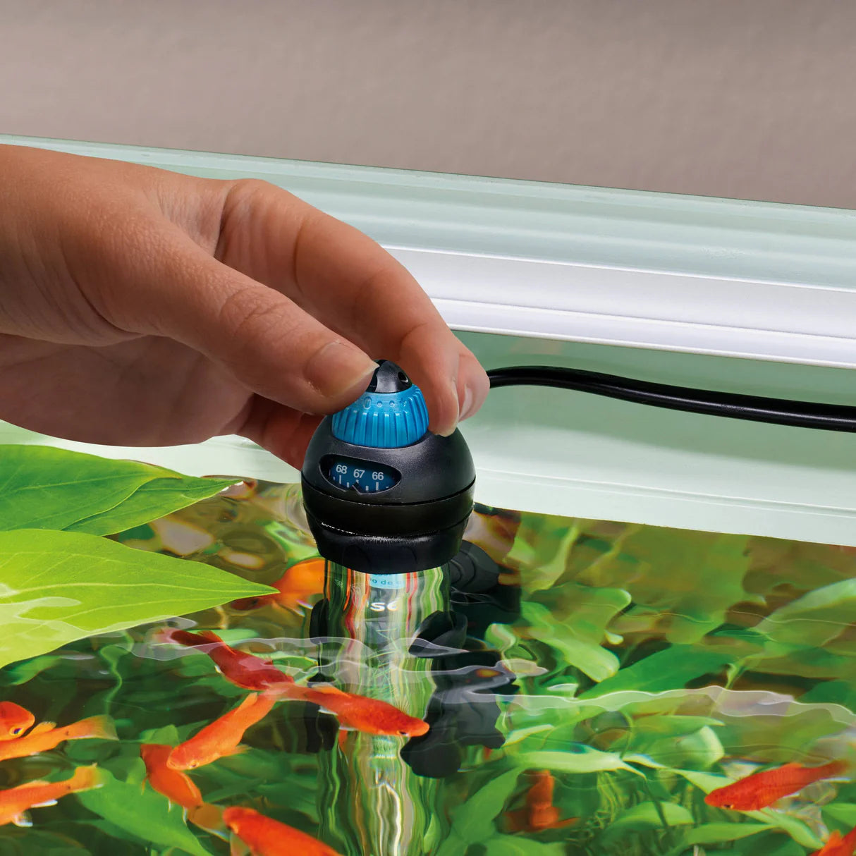 Oase Oase Aquarium Heater HeatUp 50 watt