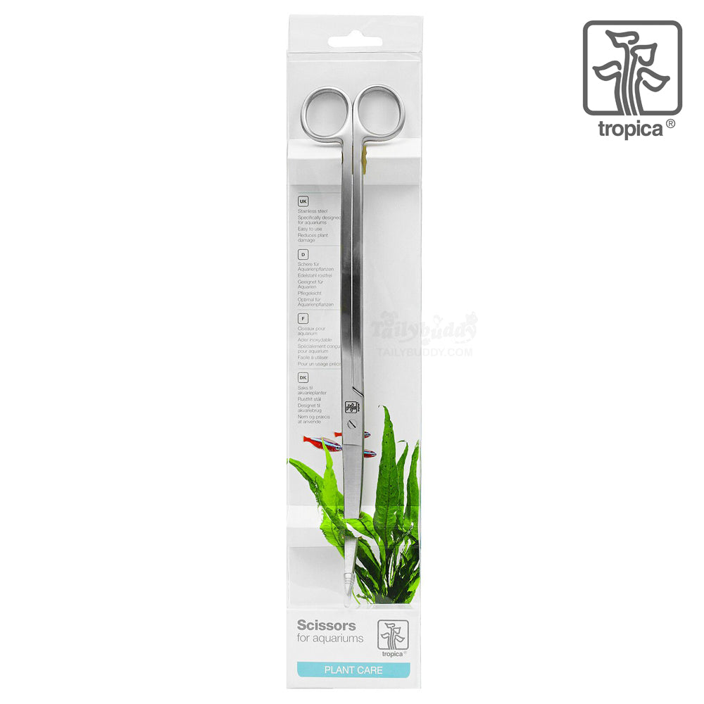 Wave Scissors Double Curved
