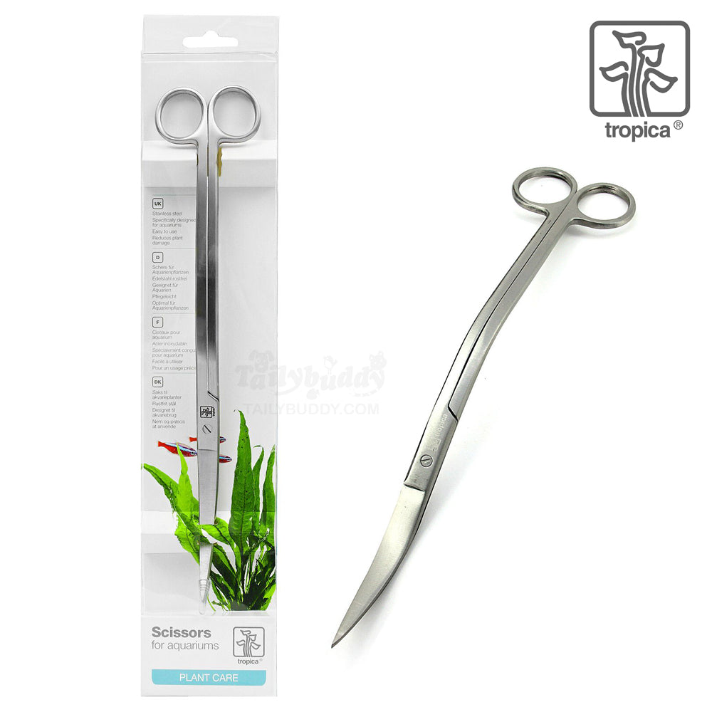 Wave Scissors Double Curved
