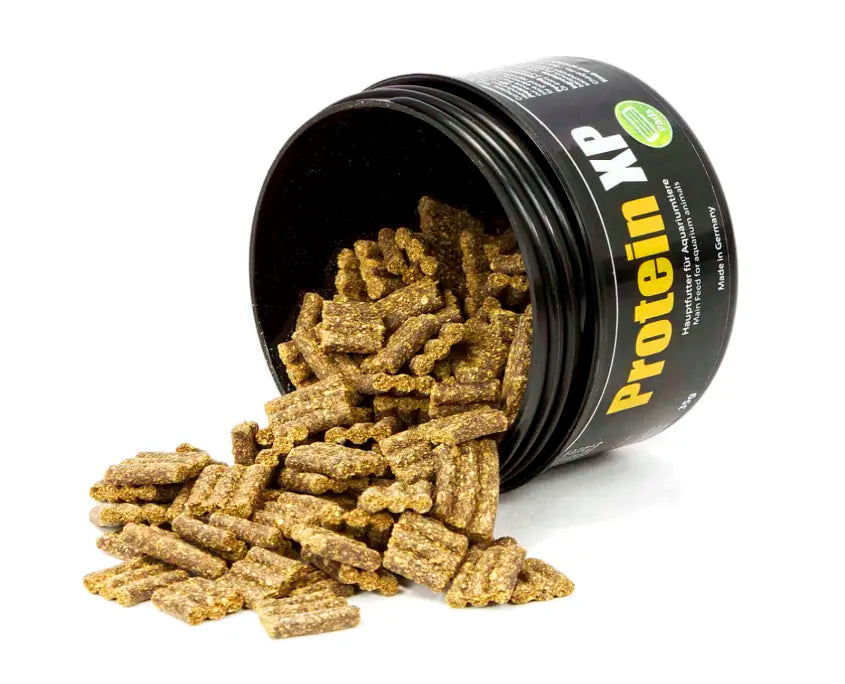 Protein XP