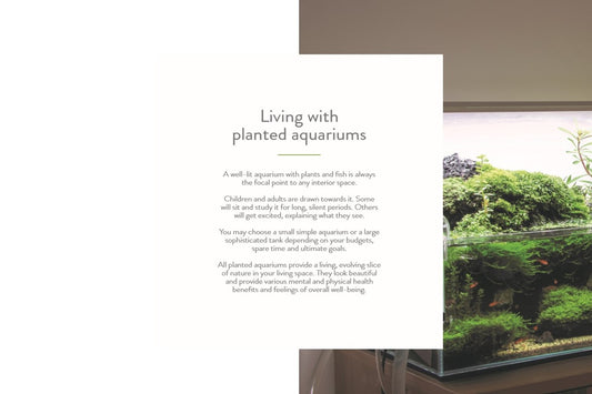 Tropica Book - "50 years under the surface"