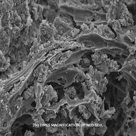 Aquario Neo Soil Shrimp