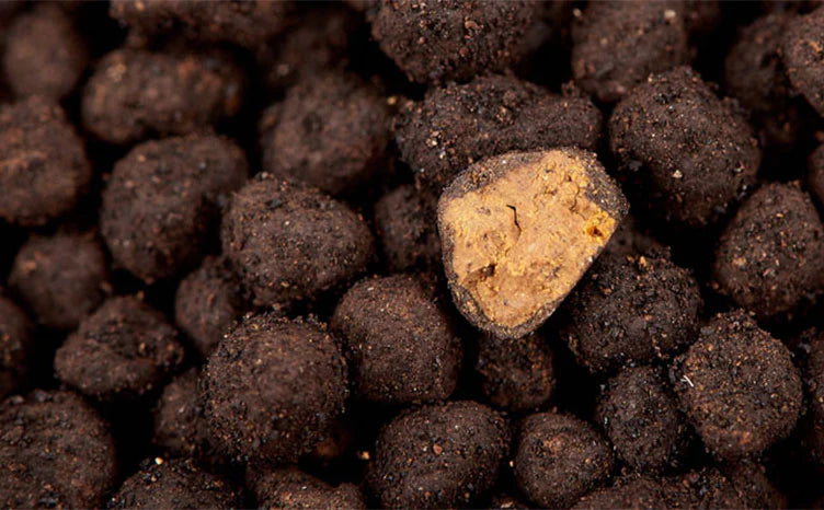 Aquario Neo Soil Plant